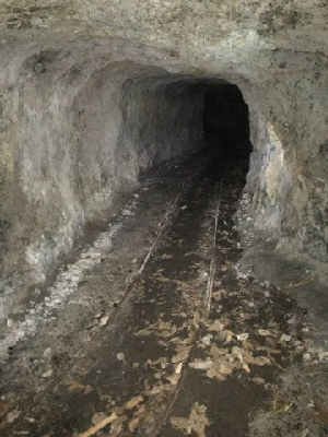 父島山中にある洞窟。トロッコの線路が伸びる